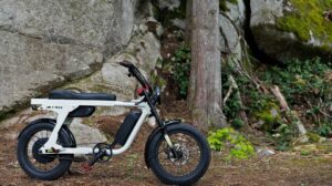 Eunoro Flash electric cycle1