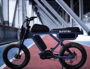 Eunoro Flash electric cycle2